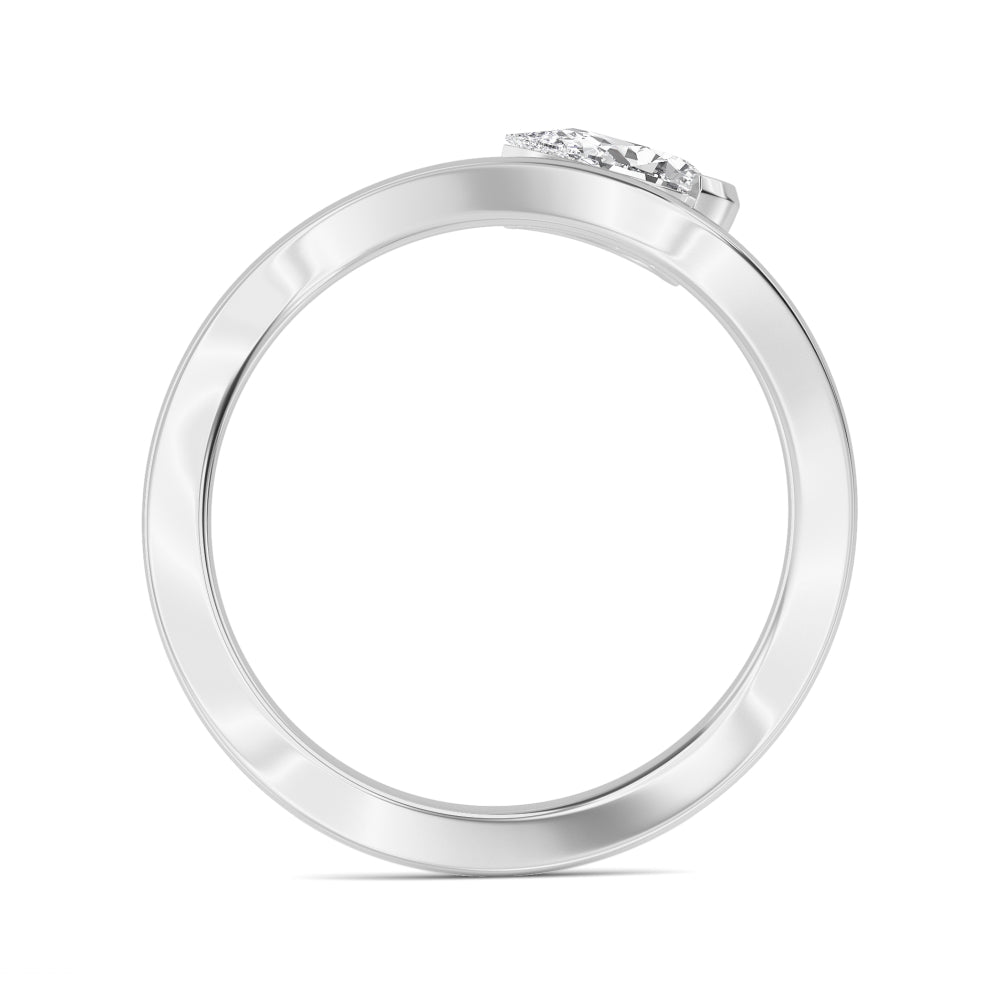 ring-173-2.jpg